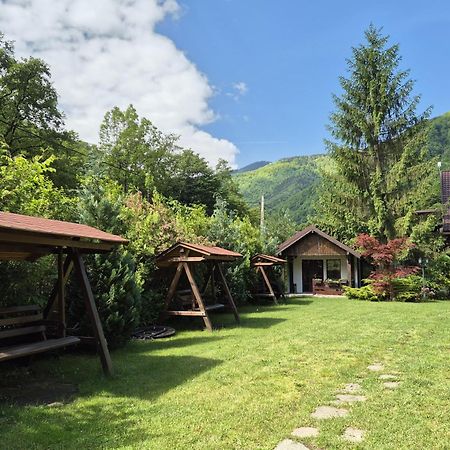 Pensiunea Dumbravita Hotel Rîu de Mori Exterior foto