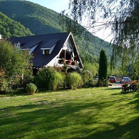 Pensiunea Dumbravita Hotel Rîu de Mori Exterior foto