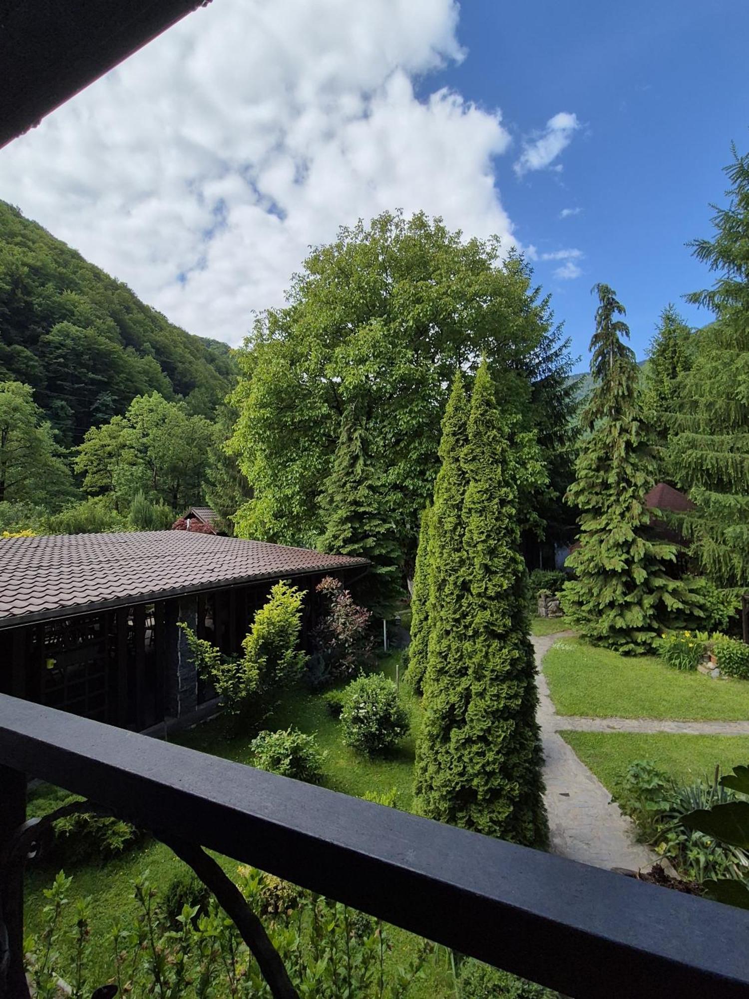 Pensiunea Dumbravita Hotel Rîu de Mori Exterior foto