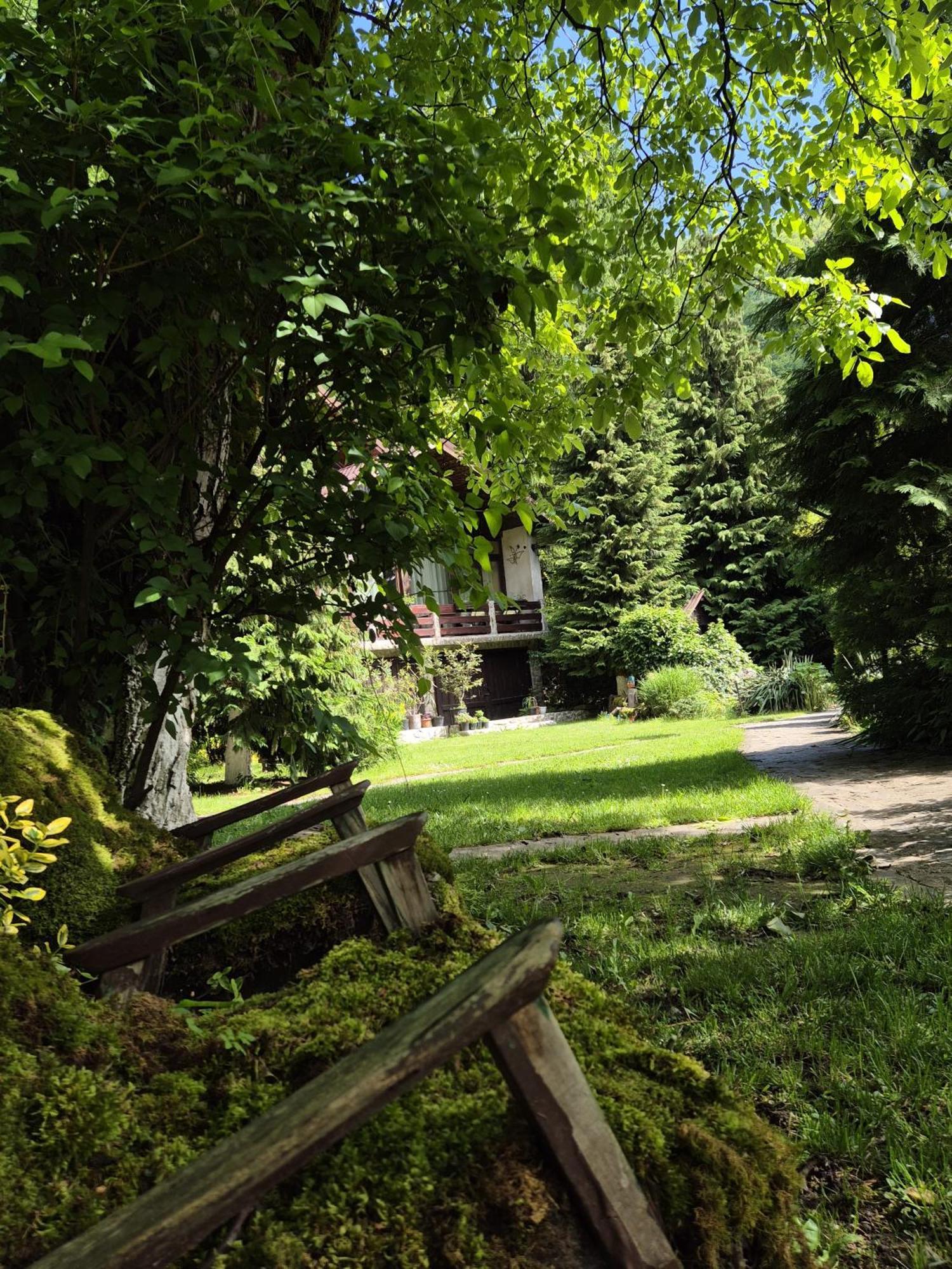 Pensiunea Dumbravita Hotel Rîu de Mori Exterior foto